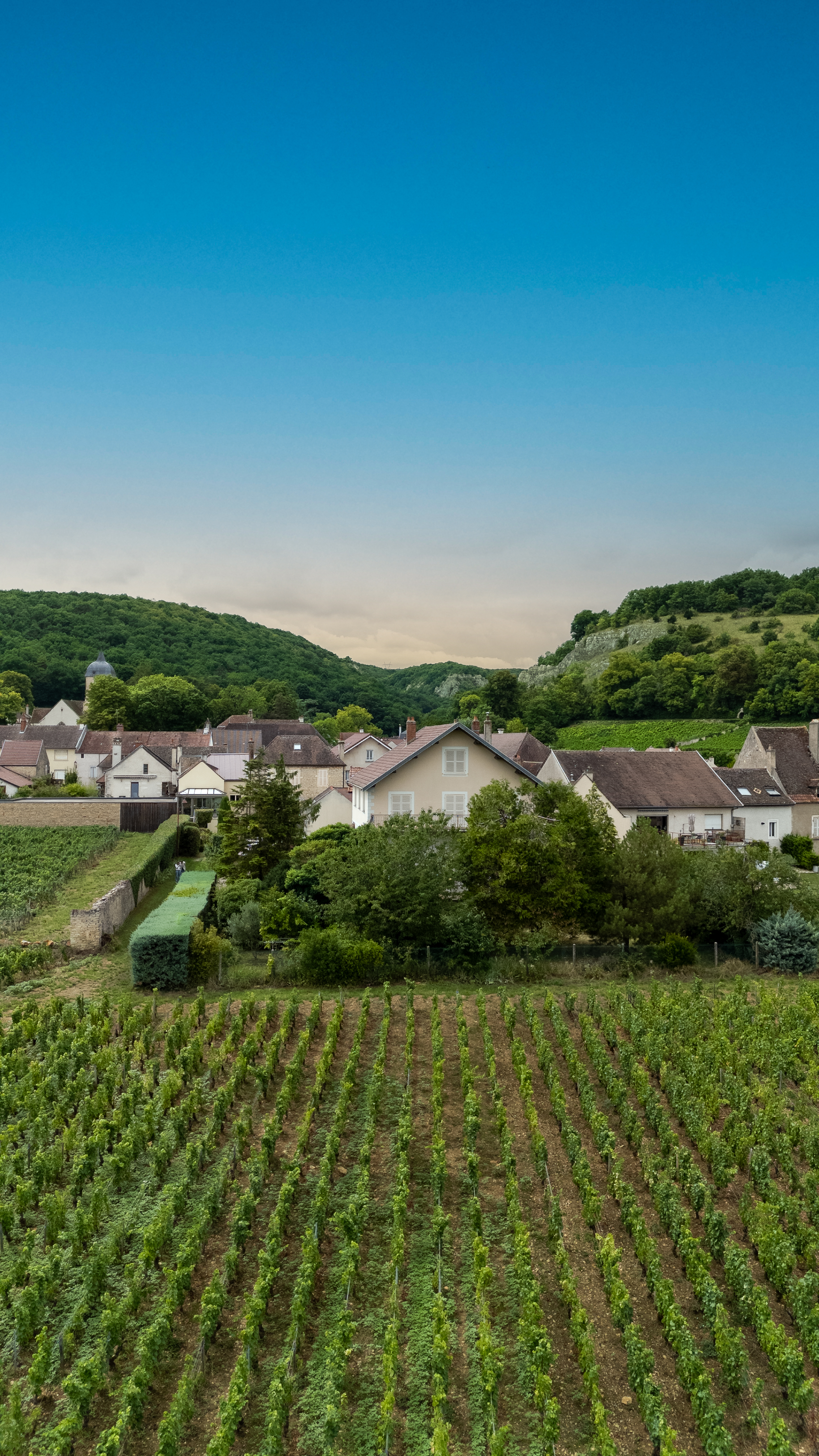 Buet Immobilier